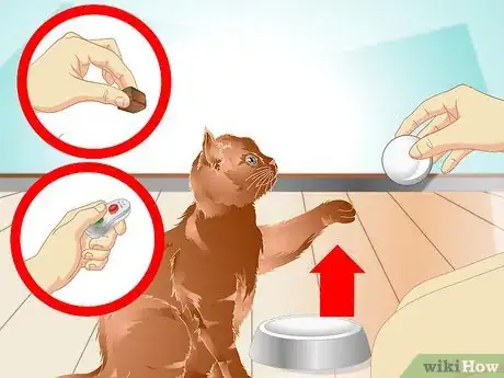 Image titled Teach a Cat to "High Five" Step 16